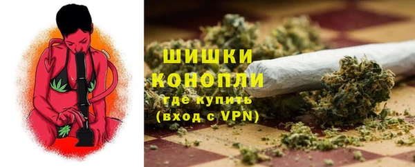 ПСИЛОЦИБИНОВЫЕ ГРИБЫ Данков