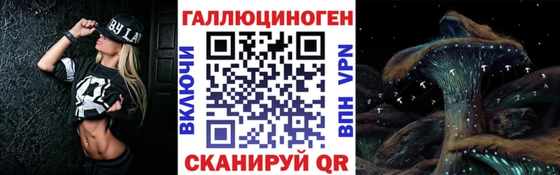 mega сайт  закладка  Высоцк  Галлюциногенные грибы Cubensis 